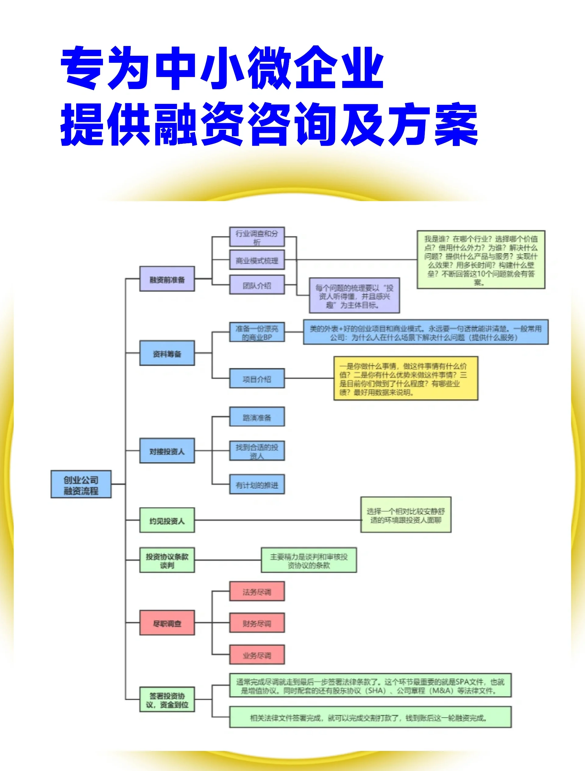 河源市宠物企业资金管理(宠物管理机构叫什么)