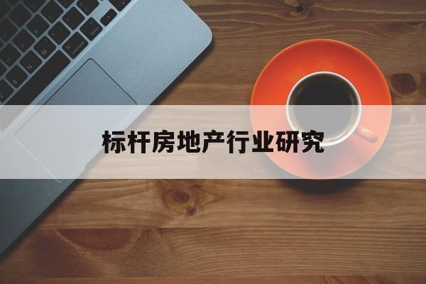 河源市标杆房地产行业研究(房地产领域的标杆人物)