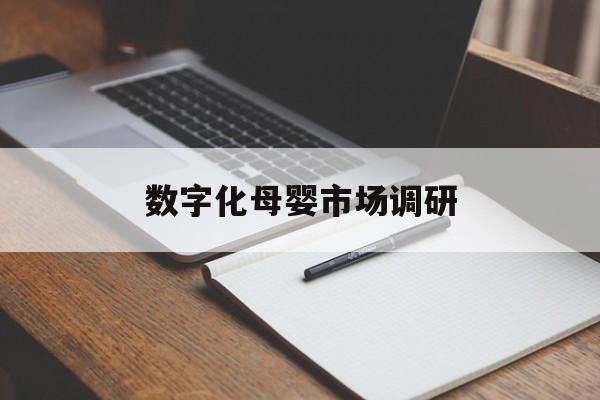 河源市数字化母婴市场调研(数字化母婴市场调研报告)