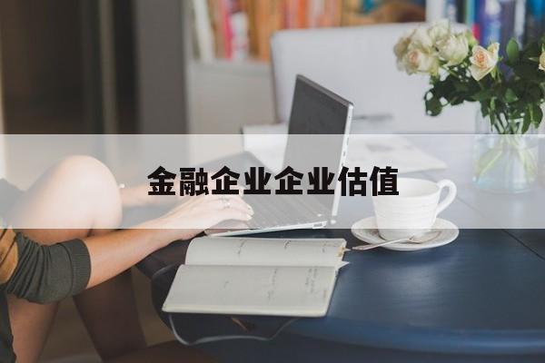 河源市金融企业企业估值(最新企业估值怎么填)
